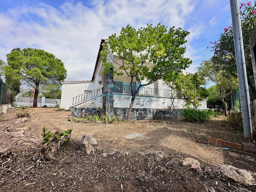 Maison MAS BUSCA, MAS FUMATS 245000€ AGENCE DE LA PLAGE Maison MAS BUSCA, MAS FUMATS 245000€ AGENCE DE LA PLAGE